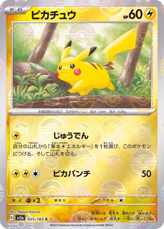 Pokemon Cards Collections – TCG WORLD JAPAN